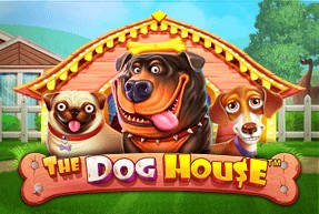 the Dog House в Mellstroy Game