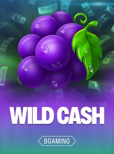 Wild Cash в Mellstroy Game